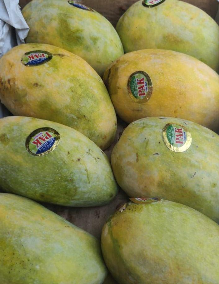 Buy Chaunsa Mango in UAE