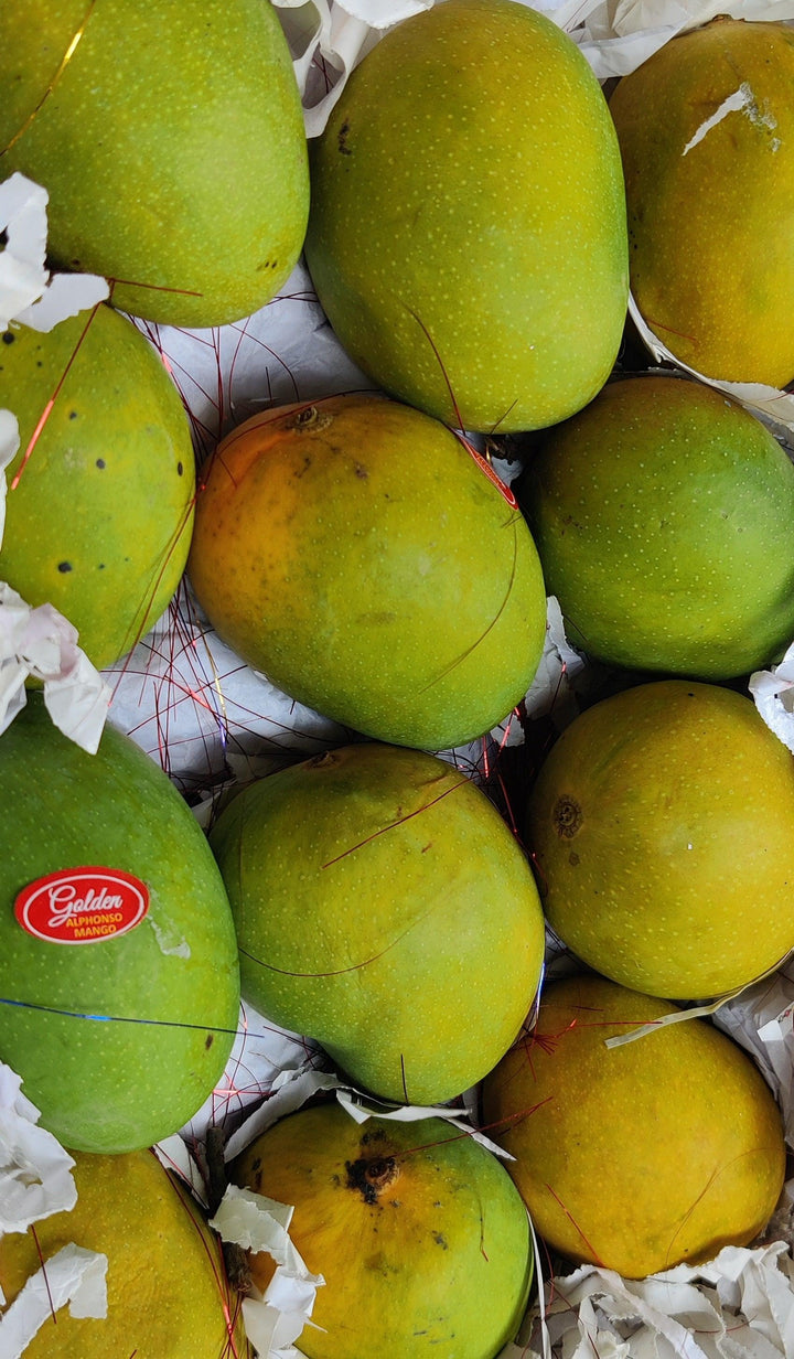 Jumbo Alphonso Mangoes (Indian) - Fresh Mangoes in UAE