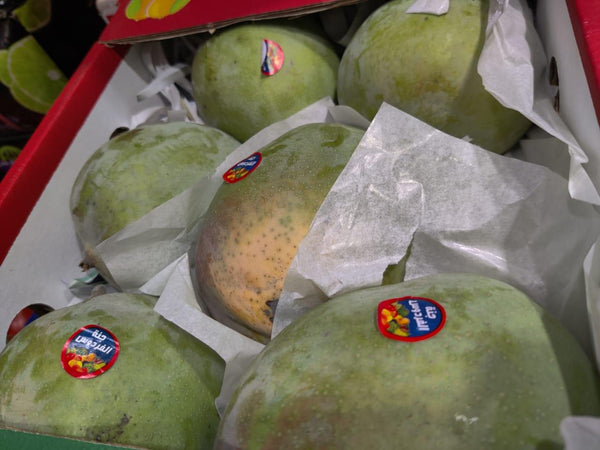 R2E2 Mango (Egyptian) in UAE - Fresh Mangoes in UAE