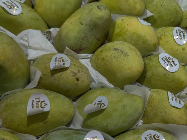 Buy Fass Mango in UAE