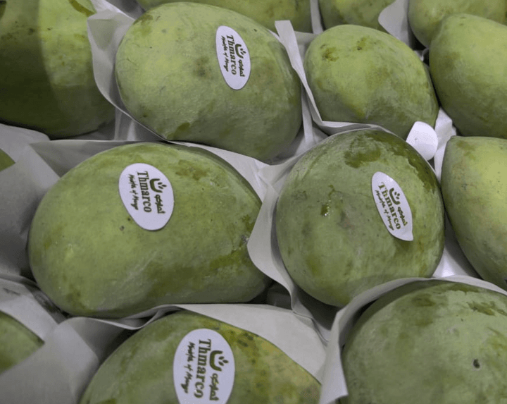 Owais Mango (Egyptian) in UAE - Fresh Mangoes in UAE