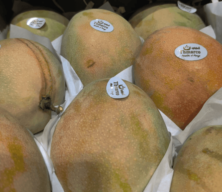 Yasmina Mango (Egyption) in UAE - Fresh Mangoes in UAE