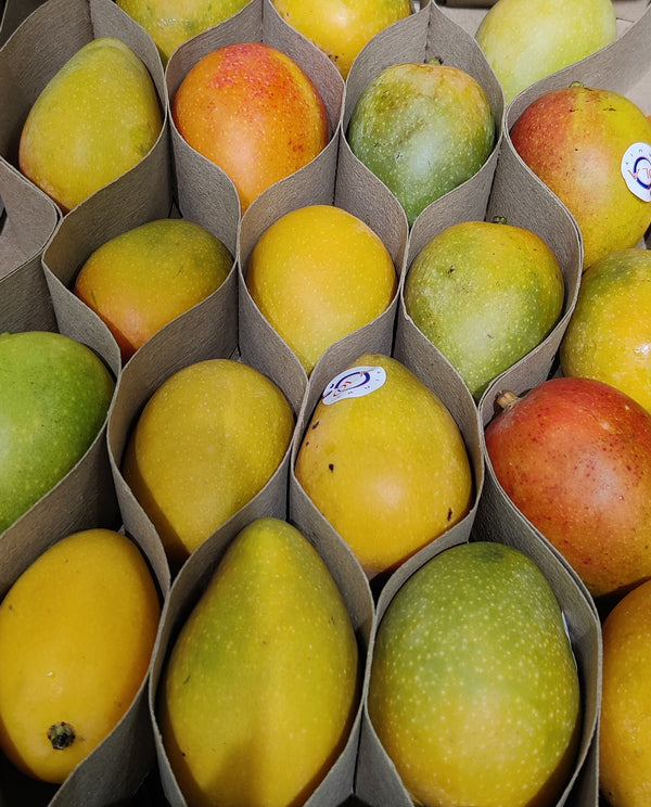 Fresh Baby Mangoes (Colombian)