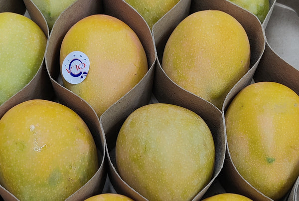 Fresh Baby Mangoes in UAE - Fresh Mangoes