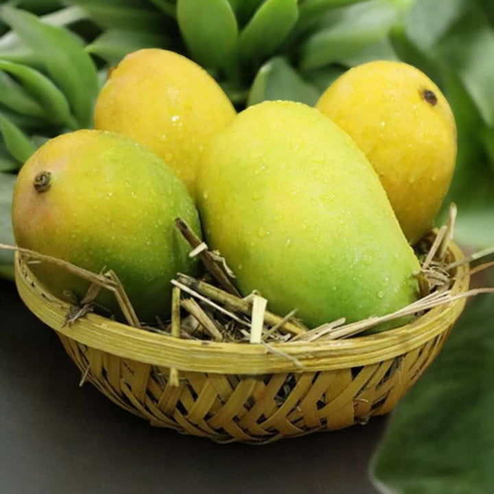 Shop Fresh Kesar Mango in UAE - Fresh Mangoes in UAE