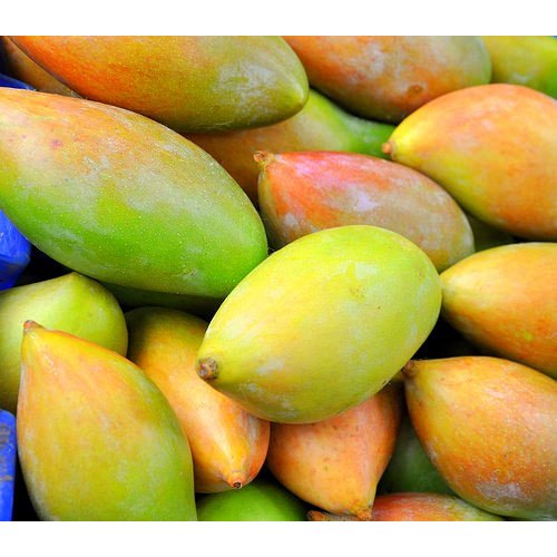Fresh TotaPuri Mangoes (Indian) in UAE